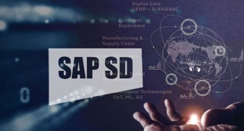 SAP Sales and Distribution Course – Master the SAP SD Module for Business Excellence