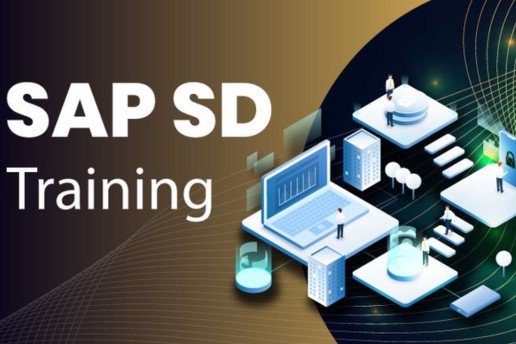  sap sd module training