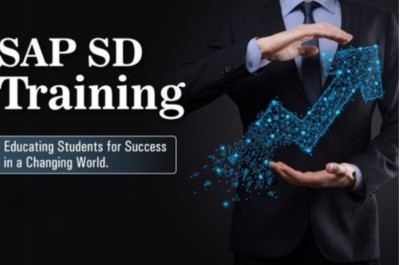 sap sd functional consultant training