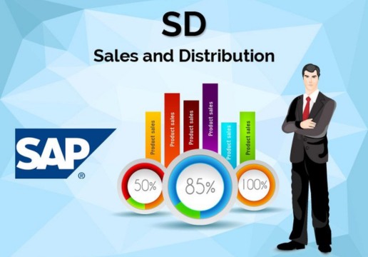 Best SAP SD online training providers India